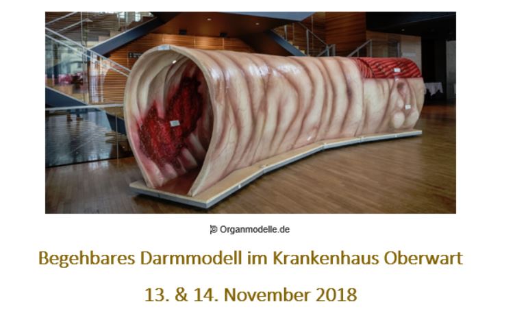 Begehbares Darmmodell Informationsblatt Begehbares Darmmodell Informationsblatt
